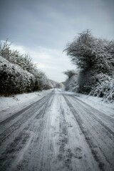winter road in the snow with hedges