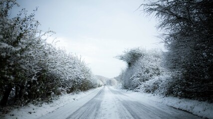 Obraz na płótnie Canvas winter road in the snow with hedges