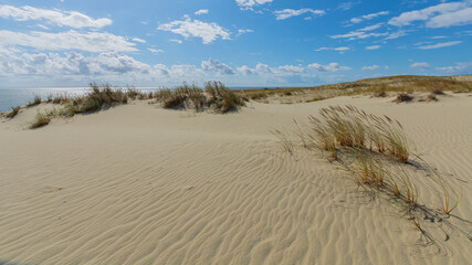 Fototapeta na wymiar Curonian Spit and Curonian Lagoon, Baltic dunes