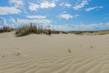 Fototapeta na wymiar Curonian Spit and Curonian Lagoon, Baltic dune
