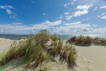 Curonian Spit and Curonian Lagoon, Baltic dunes