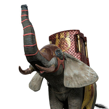 elephant warrior id profile picture