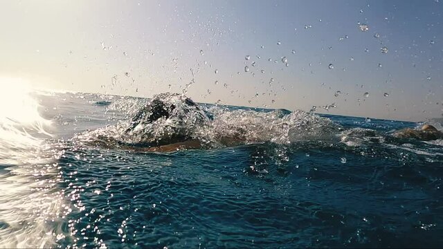 Stock video young professional triathlon swimmer athlete practicing at morning sea. open water swimming training. slow motion shot 