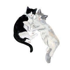 Two Cute Cats on a white background. Lovely pet. Hand drawn. Isolated drawing. 
