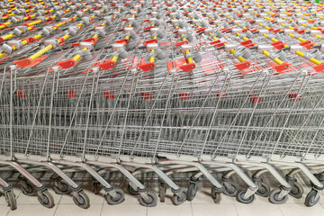 Rows of empty shopping carts in the store