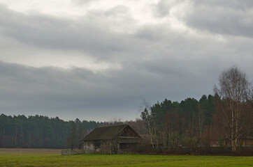 Abandoned farm buildings near the forest. © Adam