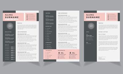 Creative Resume Template with Professional Layouts job application
