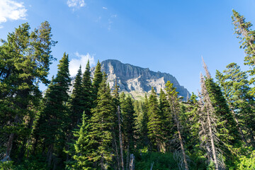 View from Jackson Glacier Overlook on the Going to the Sun Road in Glacier National Park in Montana on a sunny summer day, with mountains, forest, and snow