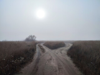 Foggy day on fork dirt road in steppe
