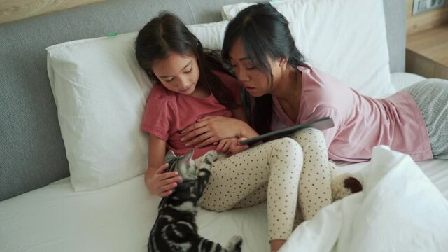 Lovely Asian mother and daughter stroking their kitten at home