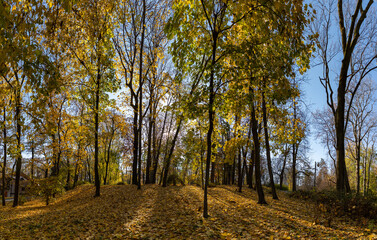 Fototapeta premium Saxon Garden in the Fall