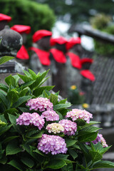 地蔵とあじさい