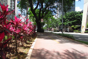 Bike path on Avenida Faria Lima, the heart of the financial center of São Paulo.