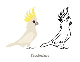 Cockatoo set. Black and white silhouette of Australian bird and color flat illustration. Parrot vector icons.