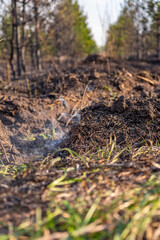 ash, fire ash, fire truck, firefighter, nature, tractor, transport, tree, vehicle