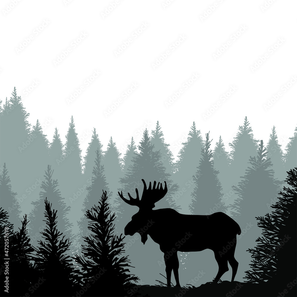 Wall mural moose in forest vector. moose illustration sign. moose scene symbol or logo.