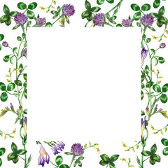 A square frame on a white background painted by hand in watercolor. Clover, clover leaves. Suitable for graphic design, wedding invitations, postcards.