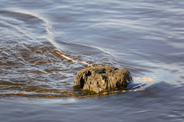 Strömung von Wasser um einen Holzpfahl