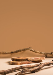 Rustic podium display on bright brown background with dried branches. Mock up for branding products, presentation and health care.	
