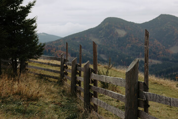 Fototapeta na wymiar Picturesque view of mountain landscape with forest and wooden fence