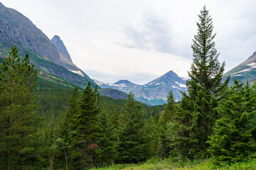 Fototapeta na wymiar View at Swiftcurrent and Many Glacier on the Continental Divide Trail in Glacier National Park in Montana in the summer