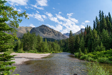 Fototapeta na wymiar View from river from Running Eagle Falls (Trick Falls) Nature Trail hike in Two Medicine in Glacier National Park in Montana on a sunny summer day with mountains and trees