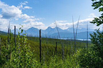 North Fork Road section headed to Bowman Lake and Kintla Lake in Glacier National Park near...