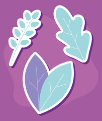 leaves icon set