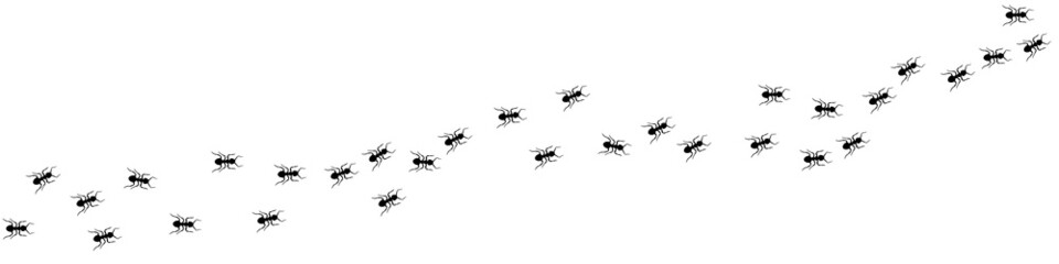 Ant trail A line of worker ants marching in search of food Vector illustration horizontal banner Ant road column Teamwork Hard work metaphor Black insect silhouettes traveling Isolated - obrazy, fototapety, plakaty