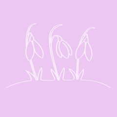 Snowdrops are the first spring flowers of the forest, a template for a beautiful Easter greeting card in the style of doodle. White outline drawing for children's coloring, a sample for a web screen.