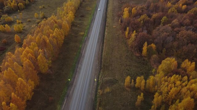 Autumn highway in the central part of Russia.  Top view of 4k video. Yellow birch crowns and gray ribbon of the road