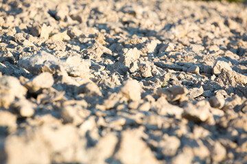 Rocky mountain with no trees