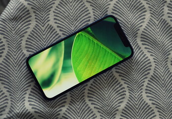 Close up of a phone screen with green tropical leaf wallpaper held by a hand