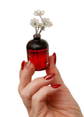 vase with an artificial flower in a woman's hand