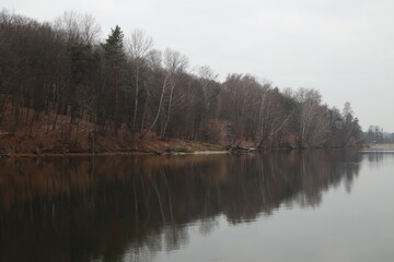 Autumn scenery of trees at the lake