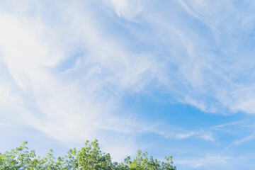 Background sky gradient , Bright and enjoy your eye with the sky refreshing in Phuket Thailand.