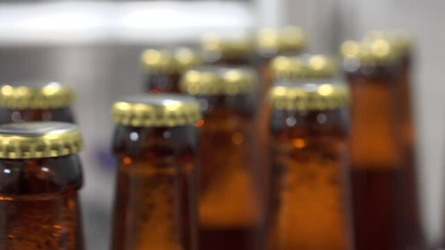 Automatic Beer Bottling Line. Queue of ready filled bottles on the conveyor. 