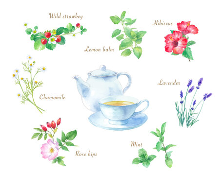 ティータイム の画像 439 170 件の Stock 写真 ベクターおよびビデオ Adobe Stock