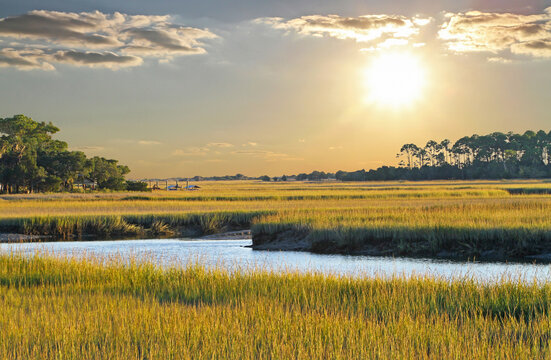 South Carolina Salt Marsh Sunset