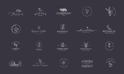 Set of Botanical, Floral element Hand Drawn Logo with Wild Flower and Leaves. Logo for spa and beauty salon, boutique, organic shop, wedding, floral designer, interior, photography, cosmetic.