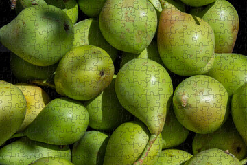 Puzzle de peras