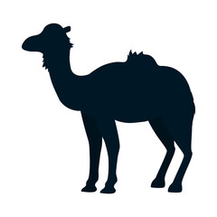 camel icon image