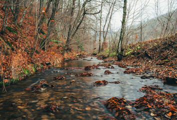 Beautiful stream (creek) with stones and orange leafs on foreground in dark and moody forest - autumn time. Small river in deep forest streaming throught the valley - without folliage.