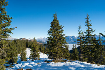 beautiful sunny autumn day on the mountains with view of the snow capped alps