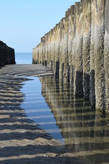 Shadow and reflection of wooden poles of sea defense in sand on beach