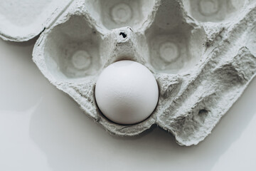 Close-up of one white egg in a paper tray. Minimalism on a white background
