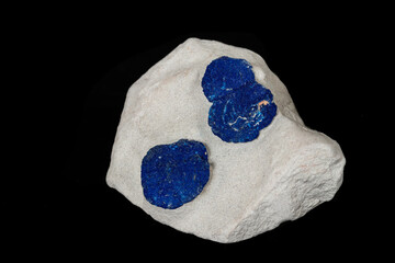Macro mineral stone Azurite in siltstone against black background