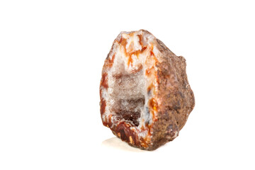 Macro mineral stone agate kidney gerbera on white background close up