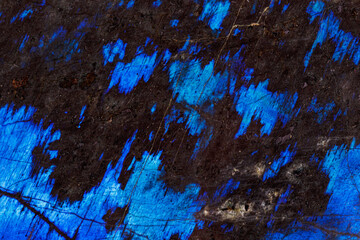 Macro of a stone Labradorite mineral on a white background
