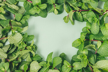 Fresh mint twigs on green background © progressman